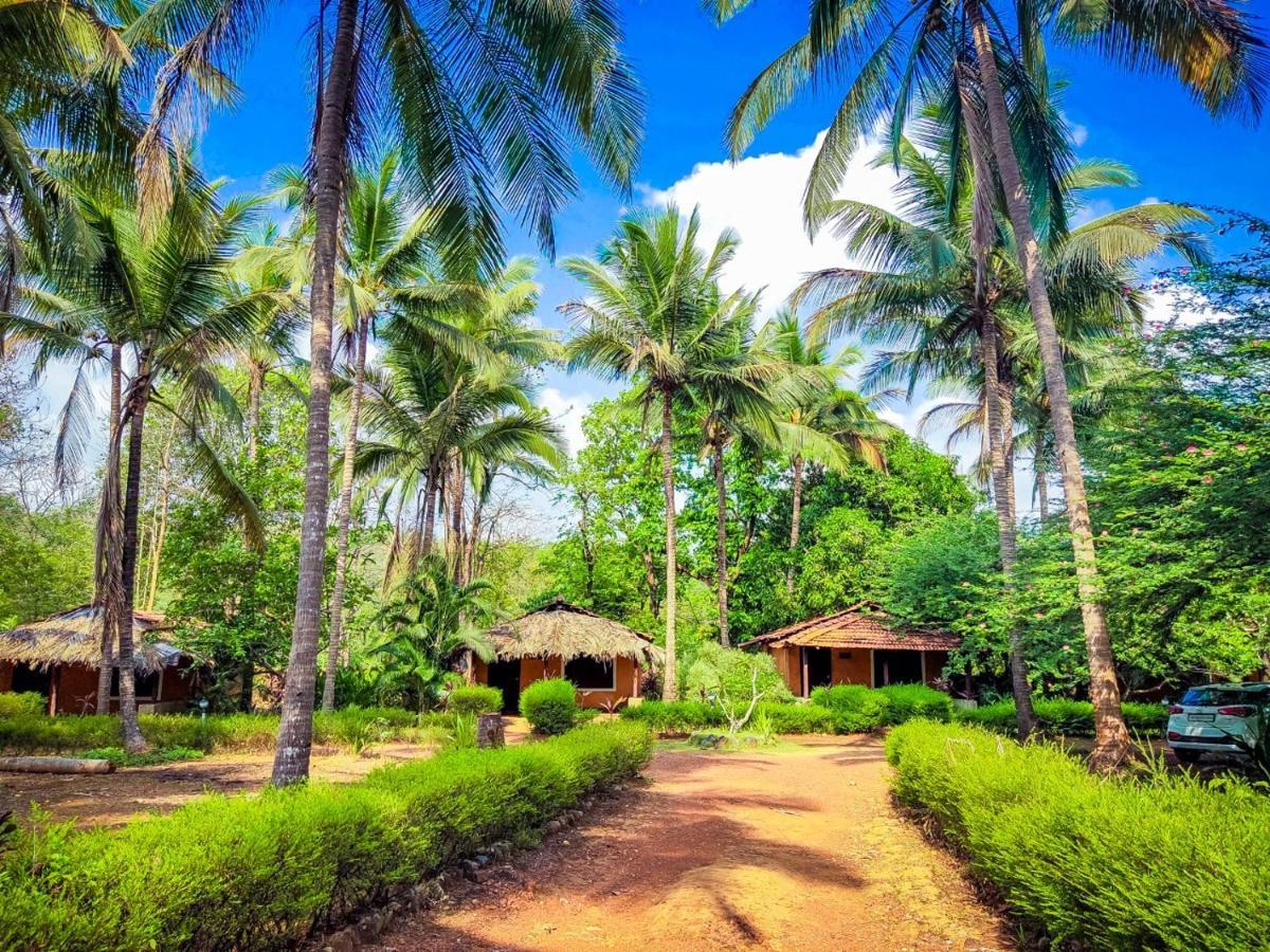Nature'S Nest Eco Resort Goa, Near Dudhsagar Waterfalls Molem Kültér fotó