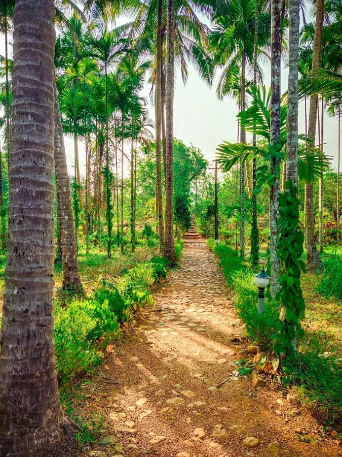 Nature'S Nest Eco Resort Goa, Near Dudhsagar Waterfalls Molem Kültér fotó